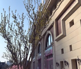 开云APP-家人来华，斯坦丘妻子分享在大连的照片