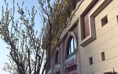 开云APP-家人来华，斯坦丘妻子分享在大连的照片